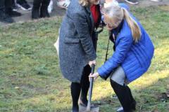 uroczysto_zasadzenia_dbu_jdrzej_14_20181108_2042033819