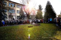 uroczysto_zasadzenia_dbu_jdrzej_23_20181108_2092723961