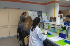 zajcia_w_laboratorium_u_1_20180416_1005895728